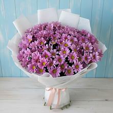 Букет цветов из:  Хризантемы в Александровской Краснодарского края