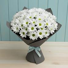 Букет белые хризантемы в Александровской Краснодарского края Букет цветов из:  Хризантемы в Александровской Краснодарского края